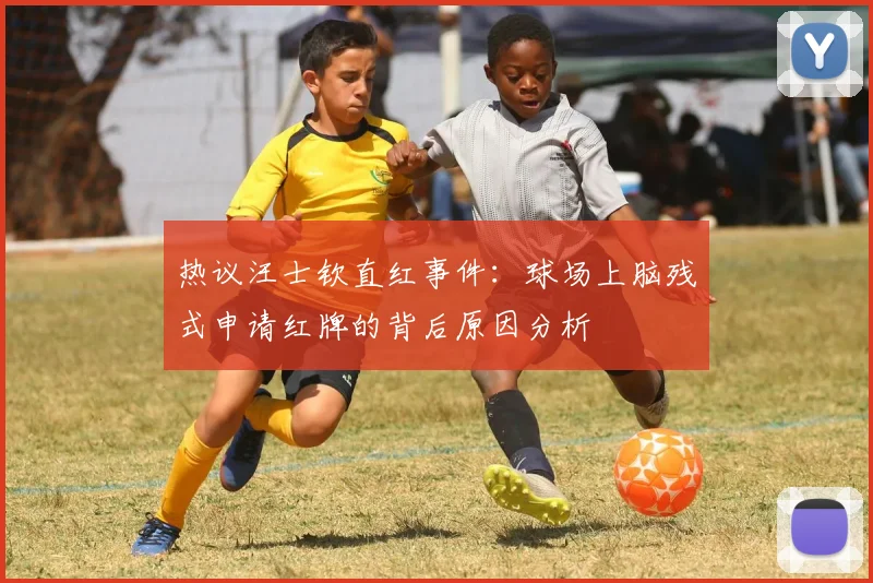 热议汪士钦直红事件：球场上脑残式申请红牌的背后原因分析