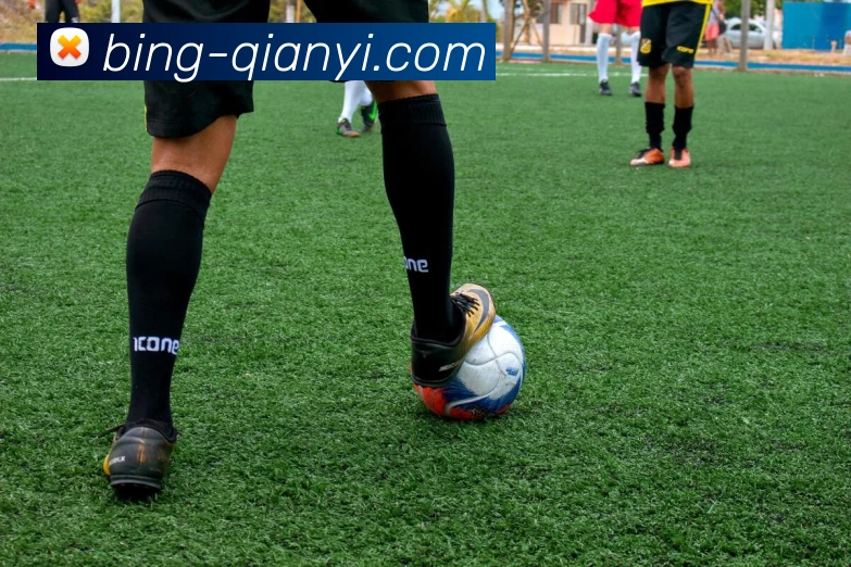 App Interface Preview